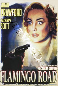 Flamingo Road |   DVD